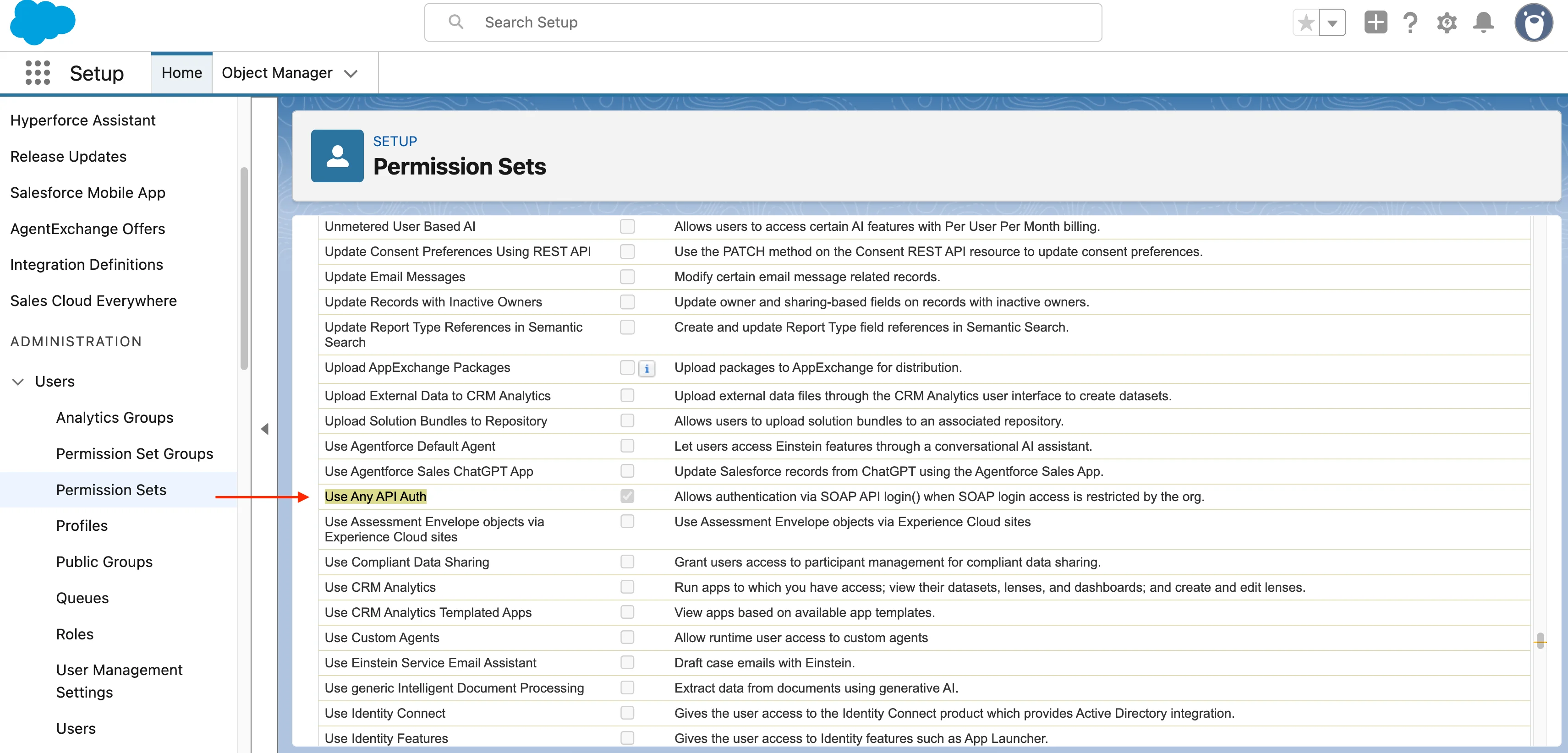 Salesforce permission set System Permissions list with Use Any API Auth highlighted and its checkbox selected